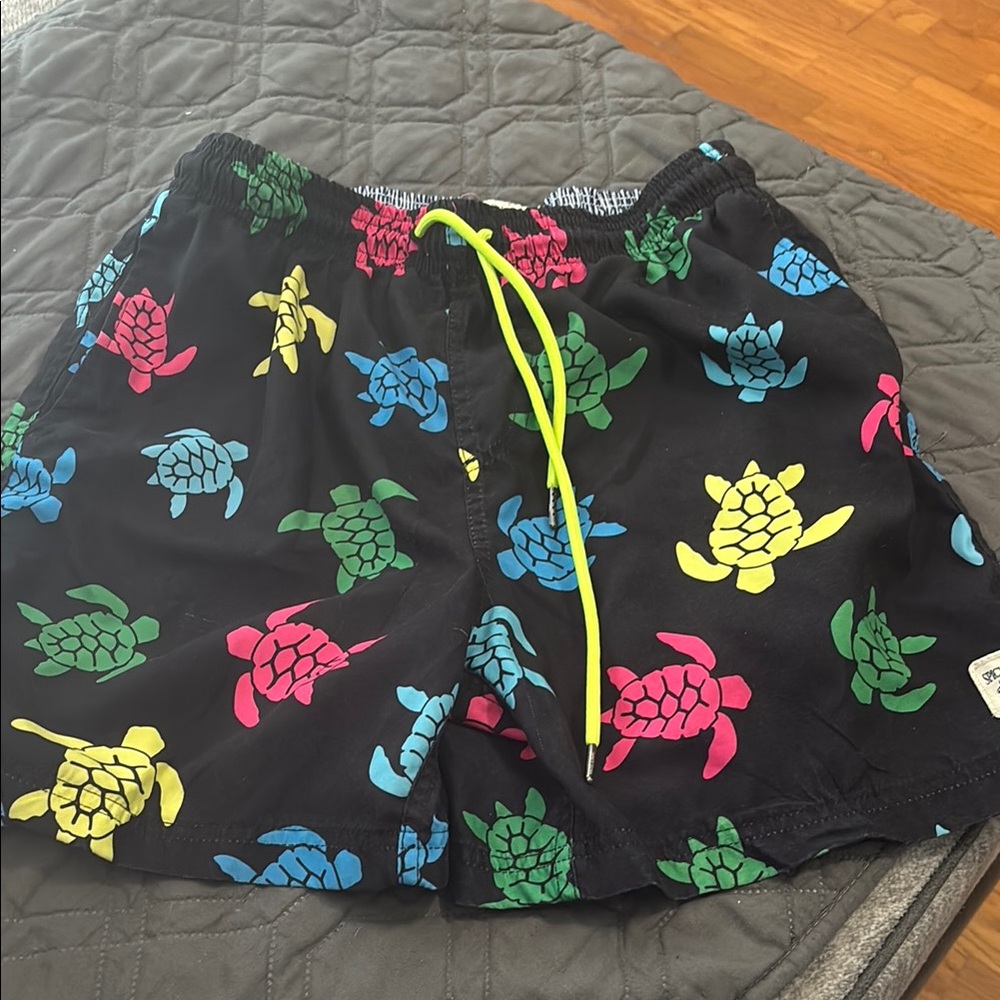 Colorful Turtle Print Swim Shorts
